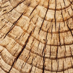 Indoor/Outdoor Faux Concrete Stump Accent Table Brown - Threshold™ Designed With Studio McGee -HOMCOM Store GUEST 03deabfd 2b62 4725 94b4 09a321ea8678